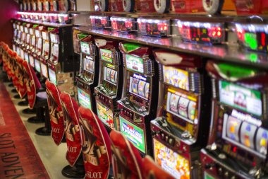 Wild Coaster live dealer table on mobile phone showing real croupier and betting interface